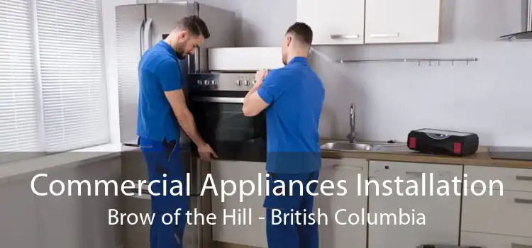 Commercial Appliances Installation Brow of the Hill - British Columbia