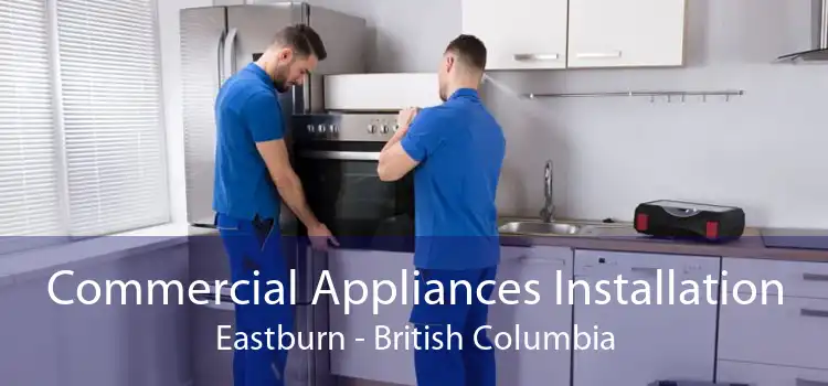 Commercial Appliances Installation Eastburn - British Columbia