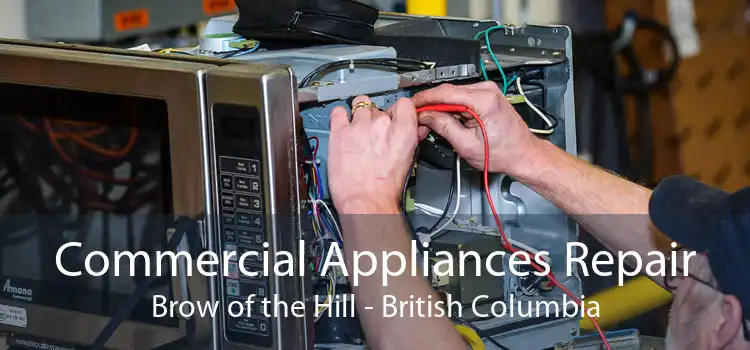 Commercial Appliances Repair Brow of the Hill - British Columbia