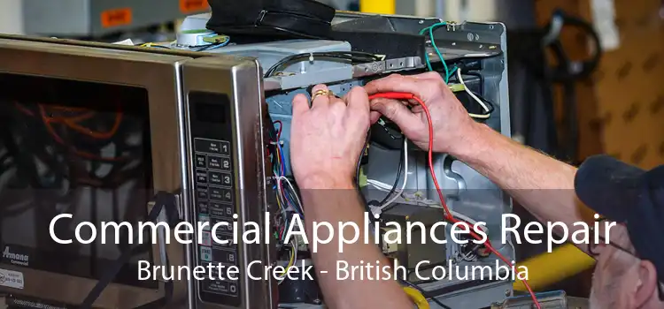 Commercial Appliances Repair Brunette Creek - British Columbia