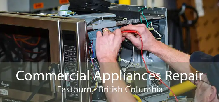 Commercial Appliances Repair Eastburn - British Columbia