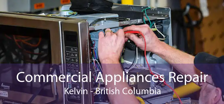 Commercial Appliances Repair Kelvin - British Columbia