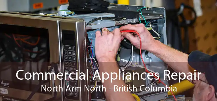 Commercial Appliances Repair North Arm North - British Columbia