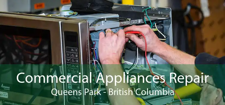 Commercial Appliances Repair Queens Park - British Columbia