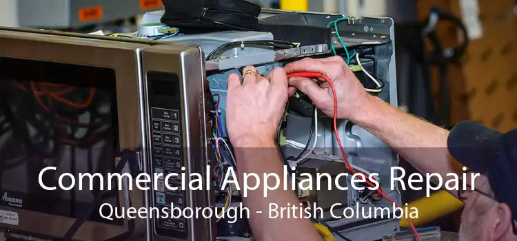 Commercial Appliances Repair Queensborough - British Columbia