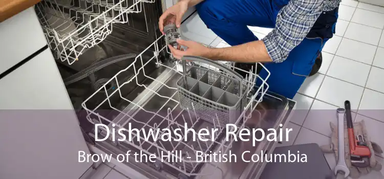 Dishwasher Repair Brow of the Hill - British Columbia