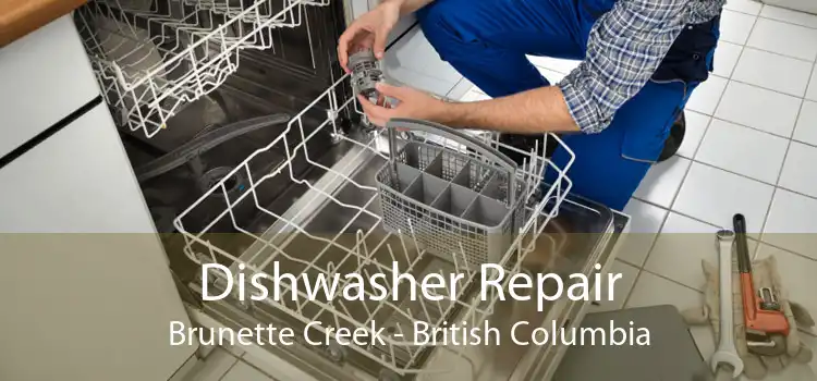 Dishwasher Repair Brunette Creek - British Columbia