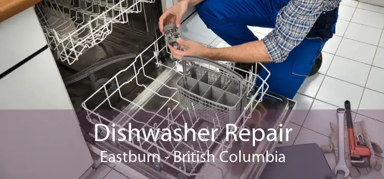 Dishwasher Repair Eastburn - British Columbia
