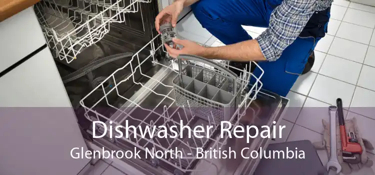 Dishwasher Repair Glenbrook North - British Columbia