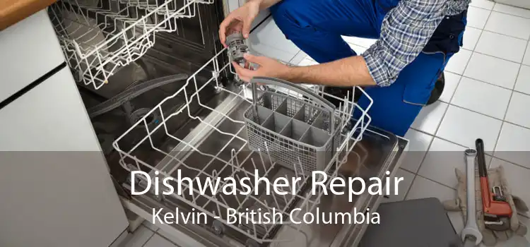 Dishwasher Repair Kelvin - British Columbia