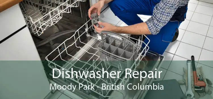 Dishwasher Repair Moody Park - British Columbia