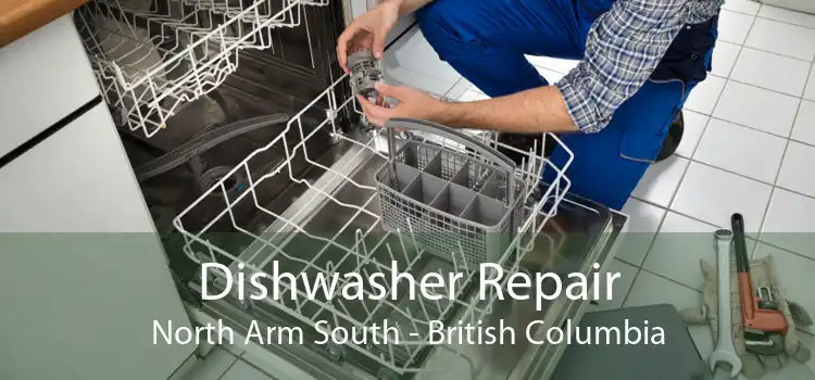Dishwasher Repair North Arm South - British Columbia