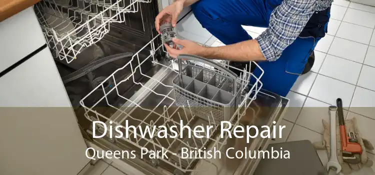 Dishwasher Repair Queens Park - British Columbia