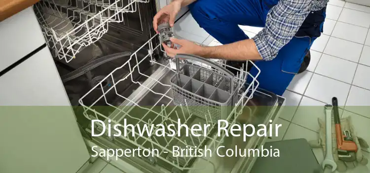 Dishwasher Repair Sapperton - British Columbia