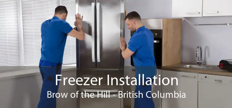 Freezer Installation Brow of the Hill - British Columbia