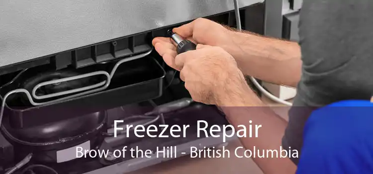 Freezer Repair Brow of the Hill - British Columbia