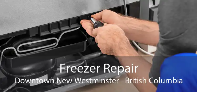 Freezer Repair Downtown New Westminster - British Columbia