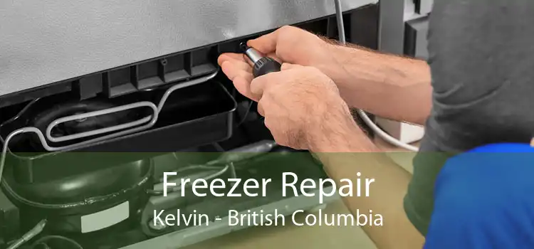 Freezer Repair Kelvin - British Columbia