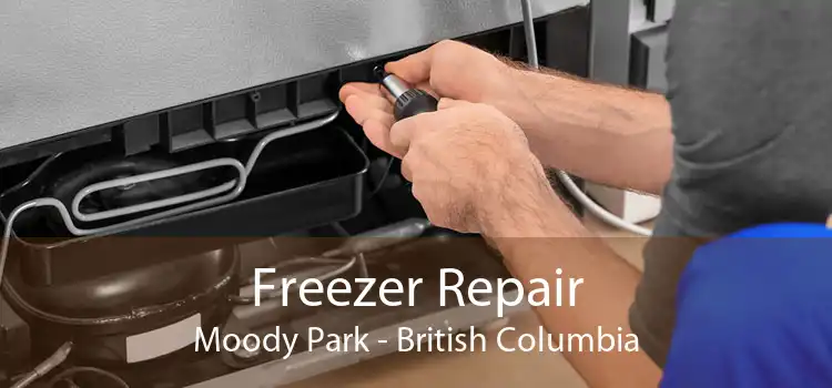 Freezer Repair Moody Park - British Columbia