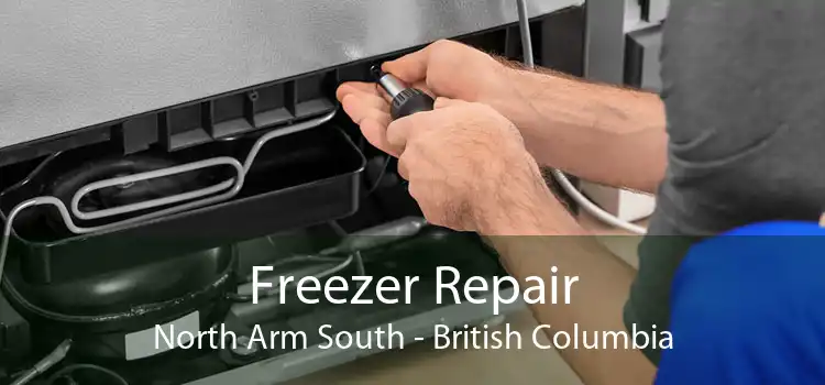 Freezer Repair North Arm South - British Columbia