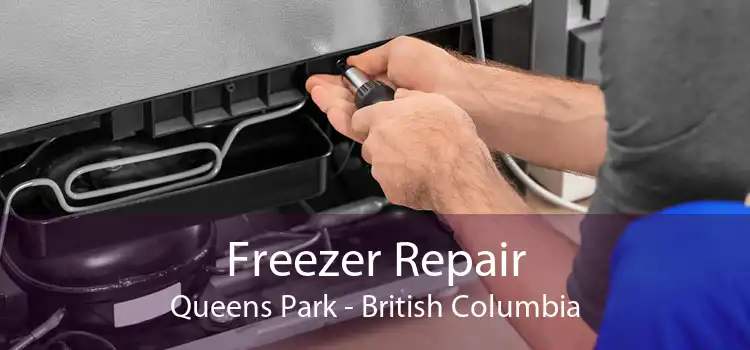Freezer Repair Queens Park - British Columbia