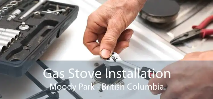 Gas Stove Installation Moody Park - British Columbia
