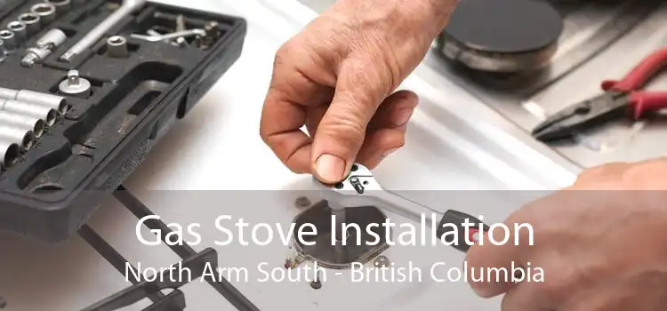 Gas Stove Installation North Arm South - British Columbia