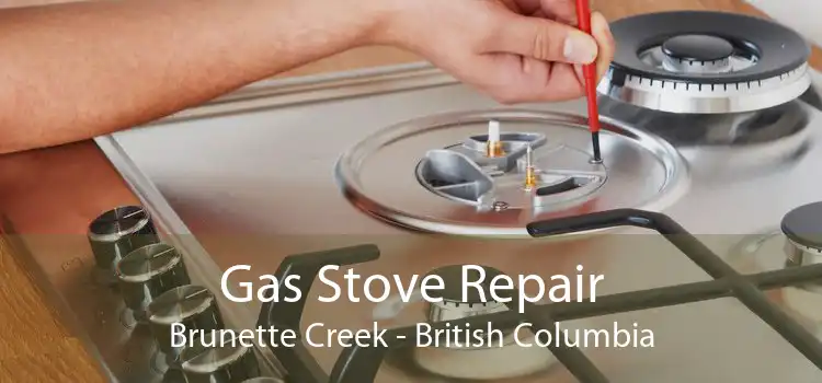 Gas Stove Repair Brunette Creek - British Columbia