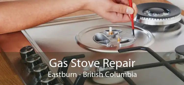 Gas Stove Repair Eastburn - British Columbia