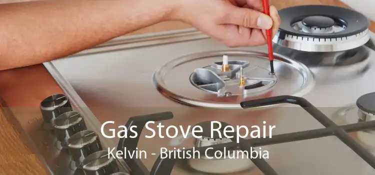 Gas Stove Repair Kelvin - British Columbia