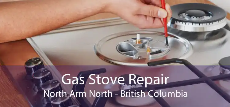 Gas Stove Repair North Arm North - British Columbia