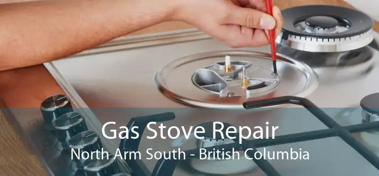 Gas Stove Repair North Arm South - British Columbia