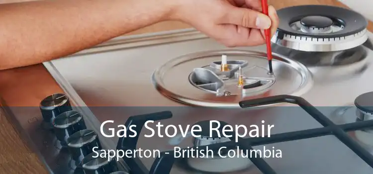 Gas Stove Repair Sapperton - British Columbia