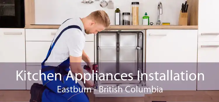 Kitchen Appliances Installation Eastburn - British Columbia
