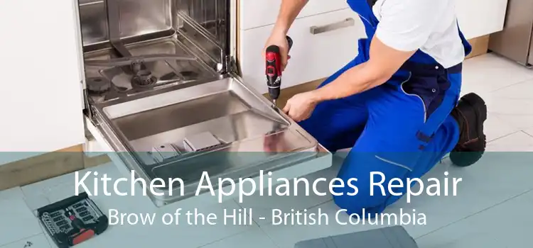Kitchen Appliances Repair Brow of the Hill - British Columbia
