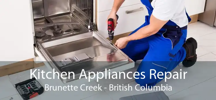 Kitchen Appliances Repair Brunette Creek - British Columbia