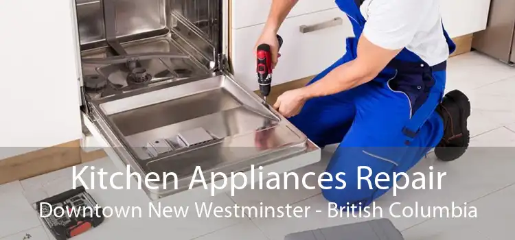 Kitchen Appliances Repair Downtown New Westminster - British Columbia