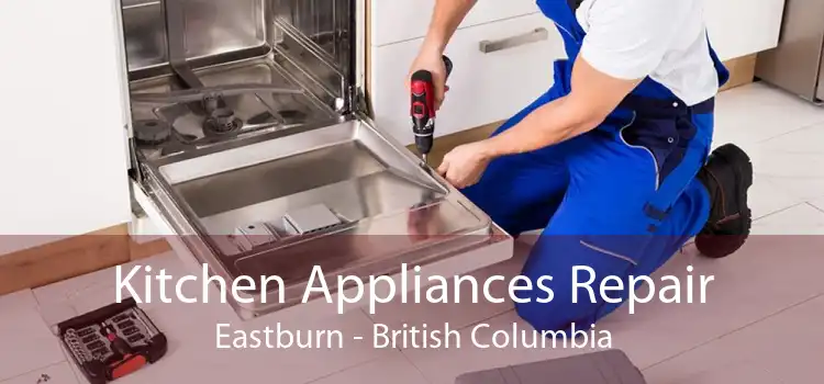 Kitchen Appliances Repair Eastburn - British Columbia