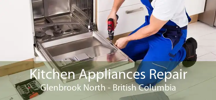 Kitchen Appliances Repair Glenbrook North - British Columbia
