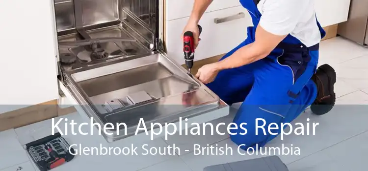 Kitchen Appliances Repair Glenbrook South - British Columbia