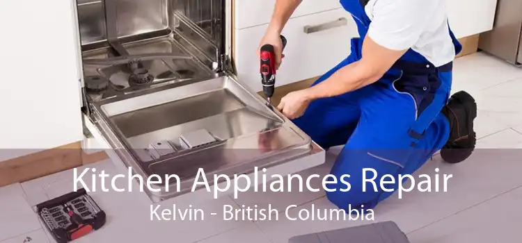 Kitchen Appliances Repair Kelvin - British Columbia