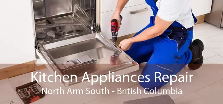 Kitchen Appliances Repair North Arm South - British Columbia
