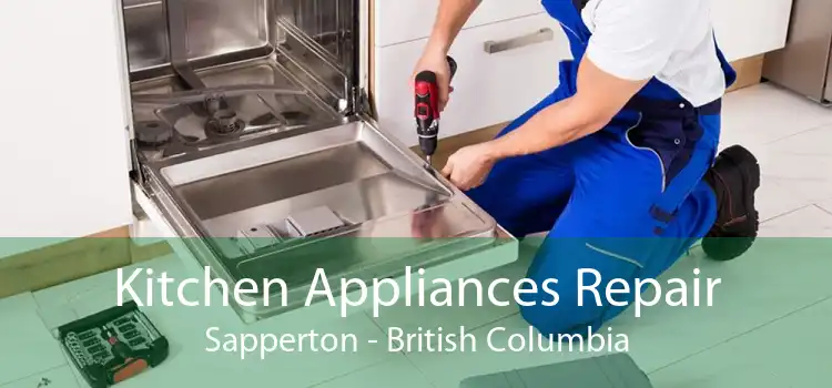 Kitchen Appliances Repair Sapperton - British Columbia