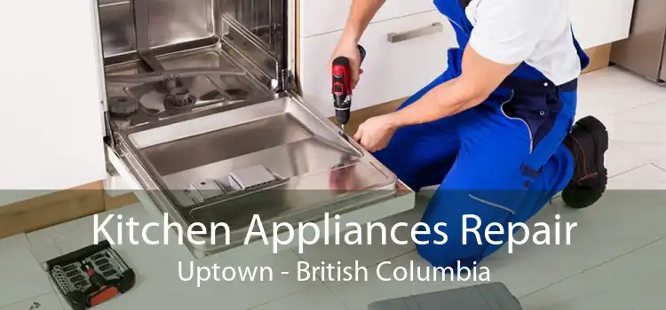 Kitchen Appliances Repair Uptown - British Columbia