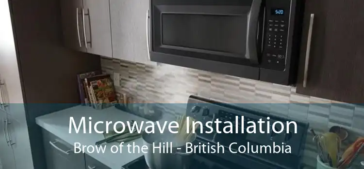 Microwave Installation Brow of the Hill - British Columbia