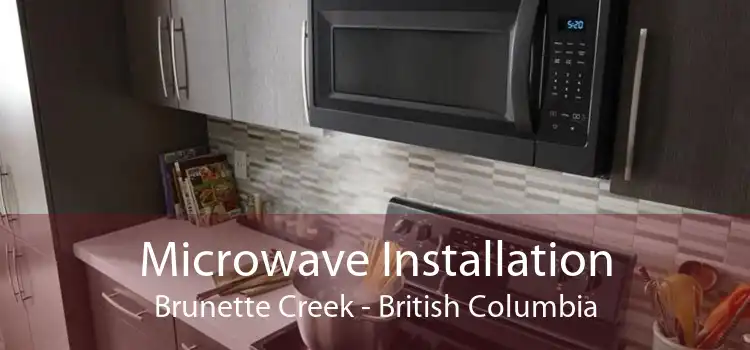 Microwave Installation Brunette Creek - British Columbia