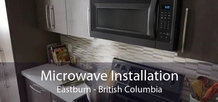 Microwave Installation Eastburn - British Columbia