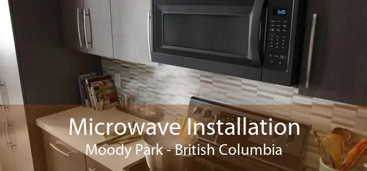 Microwave Installation Moody Park - British Columbia