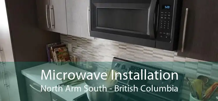 Microwave Installation North Arm South - British Columbia
