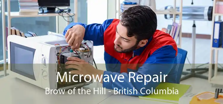 Microwave Repair Brow of the Hill - British Columbia